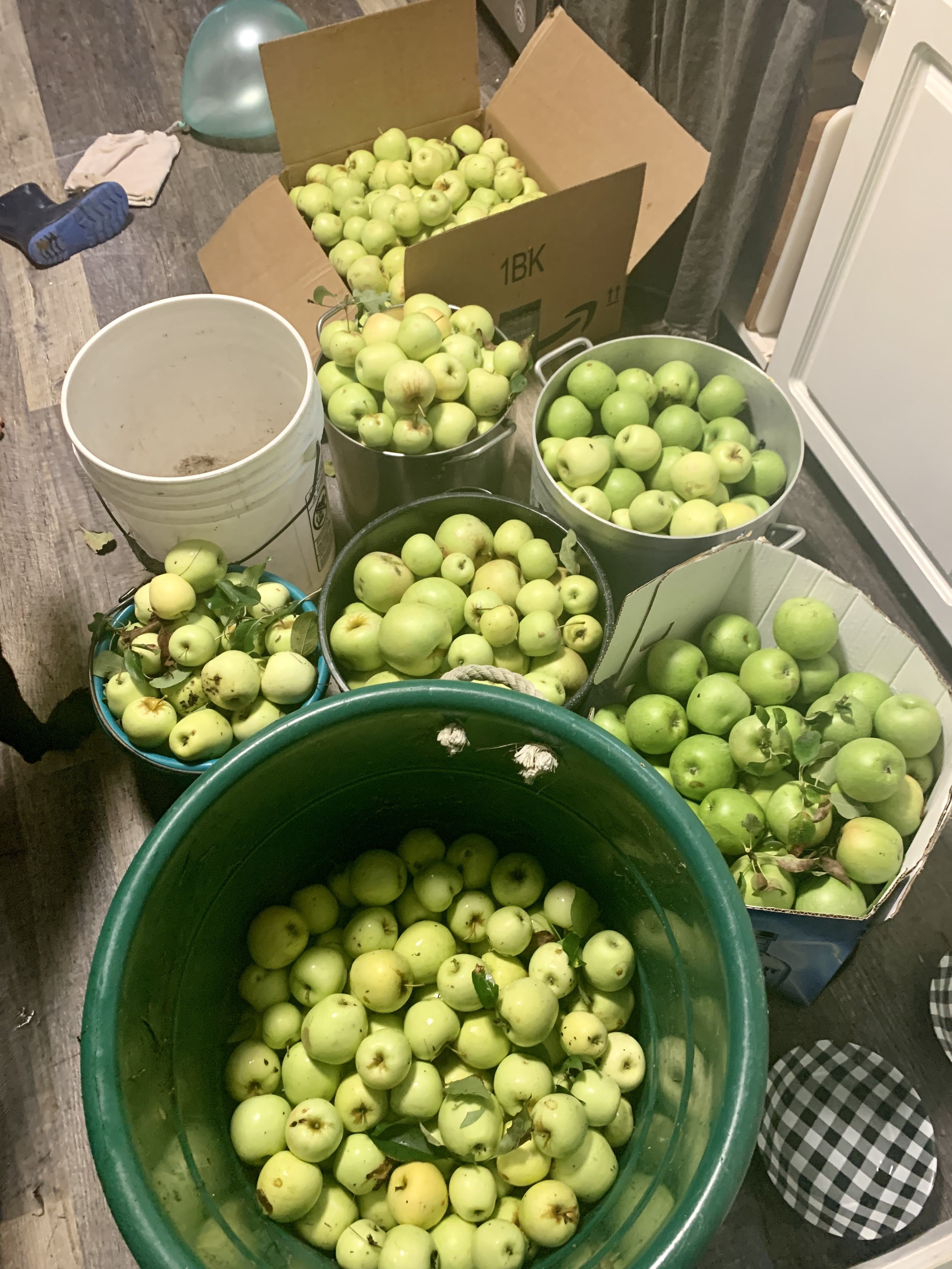 Fruit trees